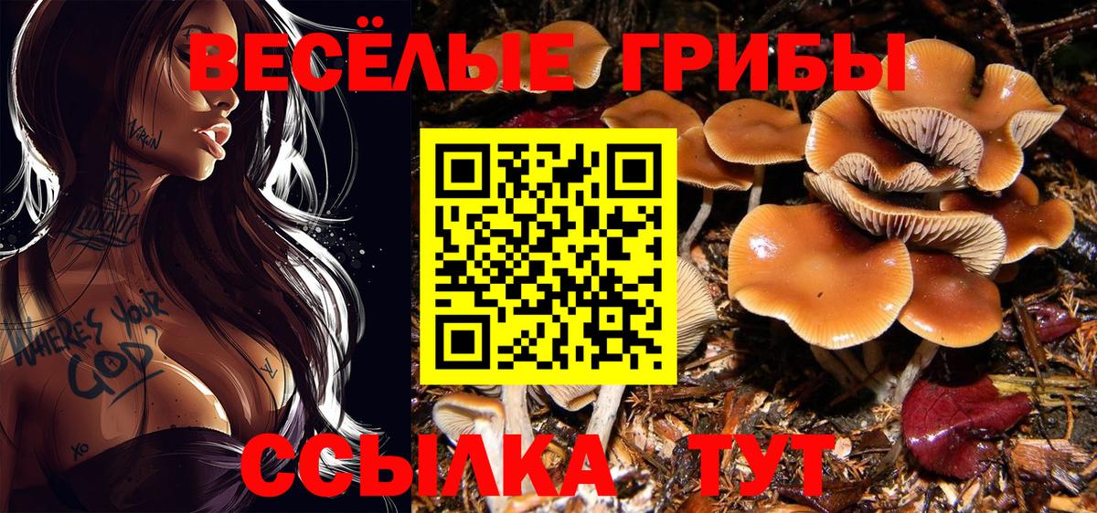 Псилоцибиновые грибы Magic Shrooms  Галлюциногенные грибы Magic Shrooms  Вход с VPN  Россошь 